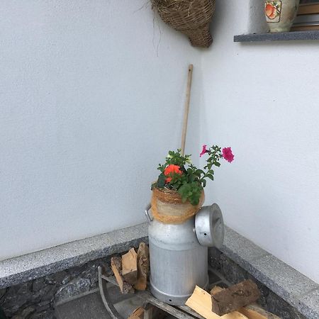 Chalets Aue Hart im Zillertal Eksteriør billede